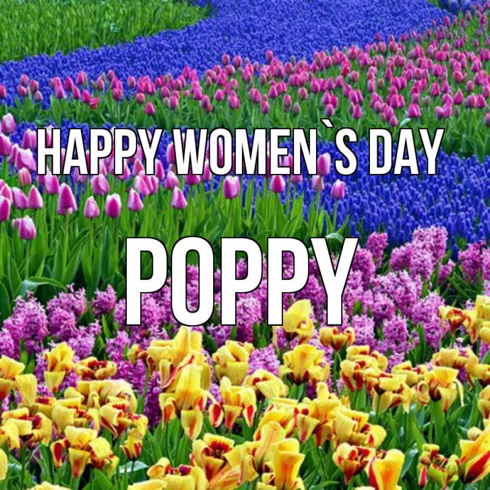 Greetings card с именем, Poppy happy women`s day цветы Greetings with text for free download 